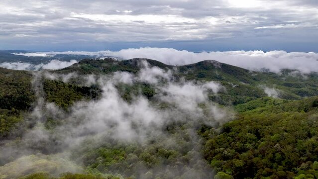 fog over mountain valley in appalachia near blowing rock and boone nc, north carolina holler