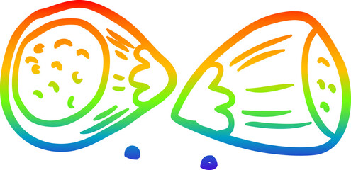rainbow gradient line drawing of a hazelnuts