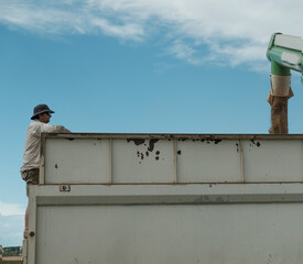Farmer on truck watching Lucerne Seed being loaded into truck with Auger