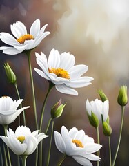 Weiße Blumen, Margariten mit Hintergrund  Copy space