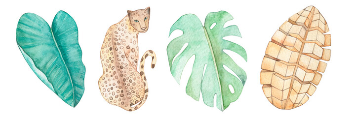 Watercolor drawing set of monstera, tropical palm leaf, leopard, cut mango. Travel and recreation. Asia. Jungle. Isolated on white background.