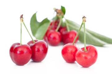 Cherry Blossoms: A Creative Photography Exploration