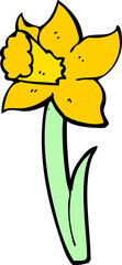 cartoon daffodil