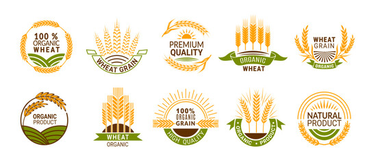 Wheat ears icons, cereal spikes of rye, barley or rice millet, vector organic product labels. Wheat grain food signs of premium quality bread or flour and bakery, organic wheat laurels