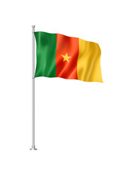Cameroon flag isolated on white