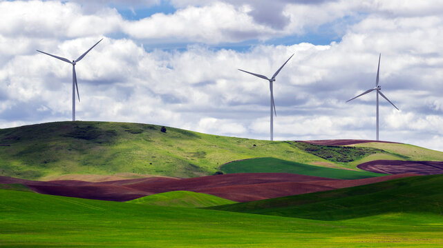 The Palouse Turbines
