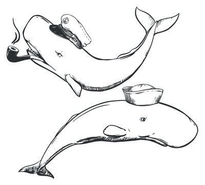 recommend clip art: A sperm whale in the form of a captain with a smoking pipe and a cap, in a sailor panama. Caricature of the captain and sailor, chief and subordinate in the navy. Vector for tattoos, t-shirts.