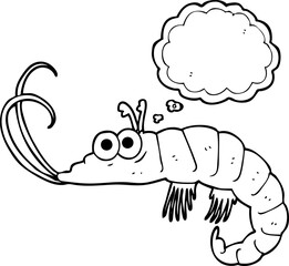 freehand drawn thought bubble cartoon shrimp