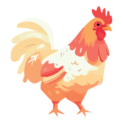 Colored chicken illustration
