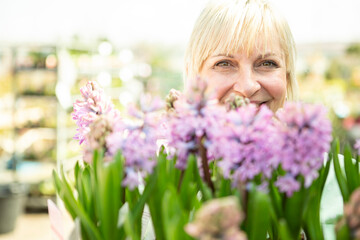 Gardener with hyazinths