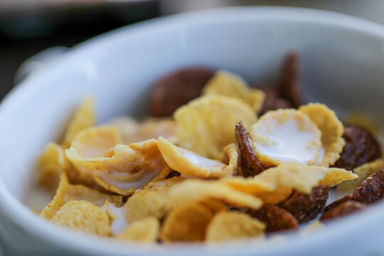 Close-up of a bowl of breakfast cereal with milk