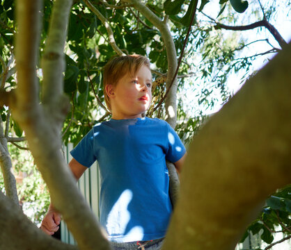 Boy with Down Syndrome in Tree