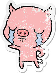 distressed sticker of a cartoon pig crying
