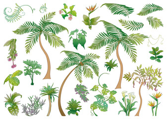 Decorative flowers and leaves in art nouveau style, vintage, old, retro style. Border, frame, template for product label, cosmetic packaging. Easy to edit. Vector illustration. In art nouveau style.