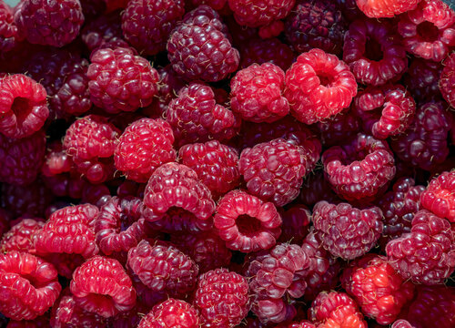Full frame close-up of raspberries