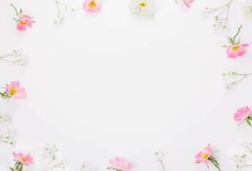 Wild pink flowers rosehip framework on white background. Flat lay.Top view.