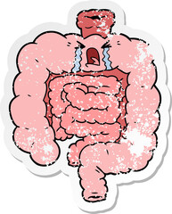 distressed sticker of a cartoon intestines crying