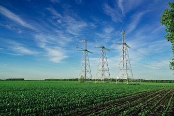 High voltage electric power tower in a green corn agricultural landscape