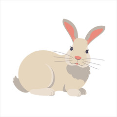 Fototapeta na wymiar Attractive white rabbit isolated on white background. Designer bunny graphics for printing on stickers and t-shirts.