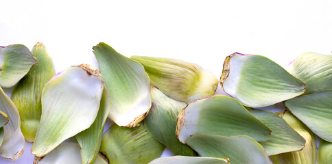 Fototapeta na wymiar Fresh artichoke petals on white background