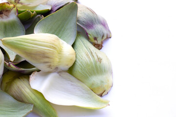 Fresh artichoke petals on white background