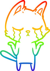 rainbow gradient line drawing of a crying cartoon cat shrugging
