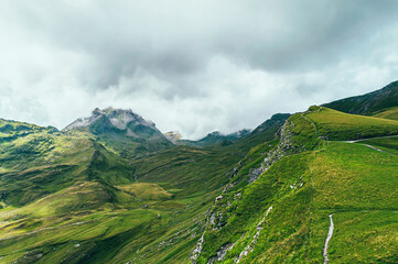 Summer mountain landscape with green grass and mountain peaks.