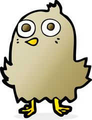 funny cartoon bird