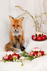 Red fox, Easter cake and Easter eggs