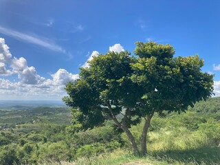 Mirante em Gravatá