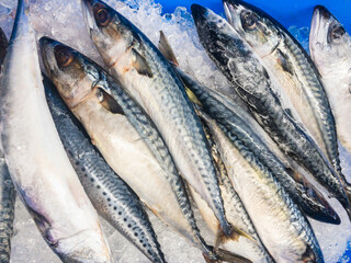 mackerel fish in fish market , Fresh mackerel pile top view.