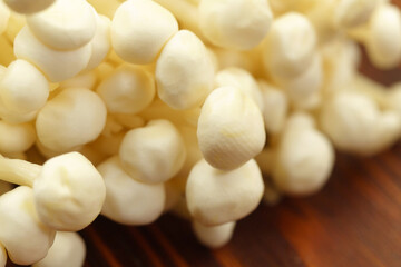 Popular in asian cuisine fresh needle mushroom or enoki, enokitake Flammulina velutipes. Macro