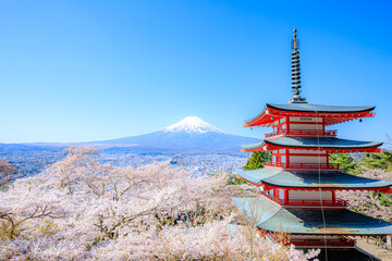 春の新倉山浅間公園　山梨県富士吉田市　Arakurayama Sengen Park in spring. Yamanashi Pref, Fujiyoshida City.