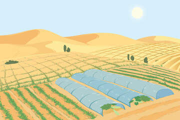 Fototapeta premium Vegetable plantations in the desert. The concept of combating desertification and droughts, creating fertile soils. Beds with zucchini in the sand. Vector illustration.