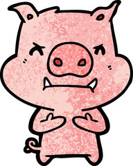angry cartoon pig