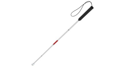 Guide cane