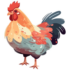 Colored chicken vector