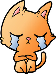 crying cartoon cat sitting