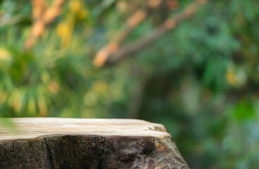 Wood tabletop podium floor in outdoors blur green leaf tropical forest nature landscape background.cosmetic natural product mock up placement pedestal stand display,jungle summer concept.