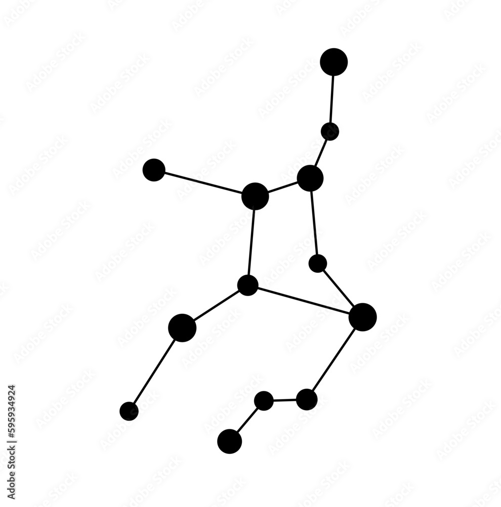 Wall mural vector isolated one single virgo stars constellation map scheme colorless black and white contour li