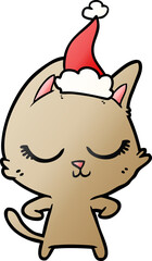 calm hand drawn gradient cartoon of a cat wearing santa hat