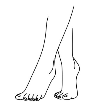 recommend clip art: Beautiful female legs. Vector illustration in line art style.