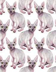 Purebred Sphynx cat. Cute watercolor seamless pattern. Handwork with paints on paper.
