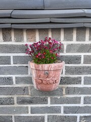 flowers in pots