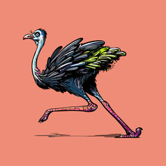 Colored vector  inked style ostrich wall art