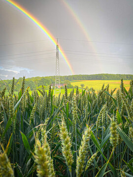 Doppelregenbogen Sommer
