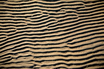 texture of yellow sand on the beach, sand dunes system, beach sand texture, wave pattern on sand