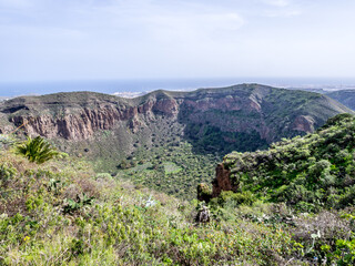 Caldera de Bandama volcanic crater on the island of Gran Canaria, Canary Islands, Spain - 595958586