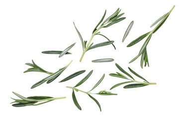 Rosemary sprigs flying on a white background. Set