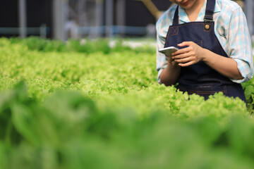 Modern farmer working in a hydroponics greenhouse uses smart phone to control various systems in...